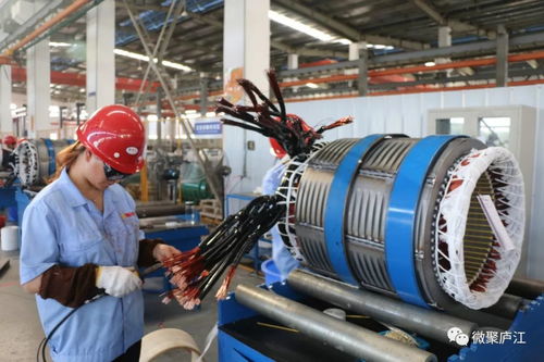 七年化繭成蝶 廬江企業(yè)以技術(shù)創(chuàng)新開(kāi)拓國(guó)際市場(chǎng)